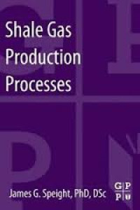 Shale Gas Production Processes